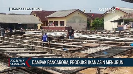 Dampak Pancaroba, Produksi Ikan Asin Menurun