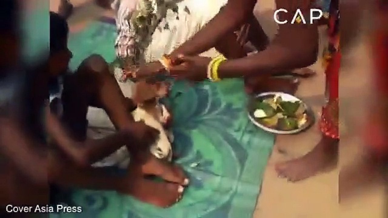 Rapaz de sete anos obrigado a casar com... uma cadela