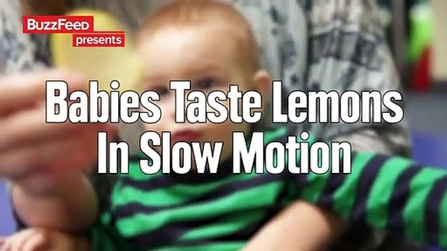 Bebés provam limões. Veja as reações em câmara lenta