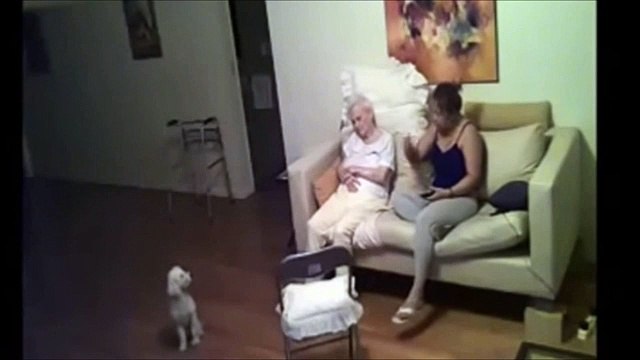 Cuidadora apanhada em vídeo a agredir idosa com Alzheimer