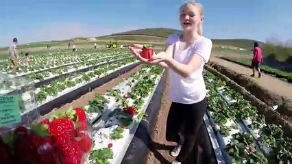 A GoPro já escolheu os melhores do ano e o vídeo impressiona