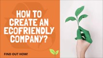 How to create an ecofriendly company?