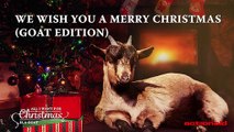 Este ano, a banda sonora do seu Natal pode ser 'cantada' por… cabras