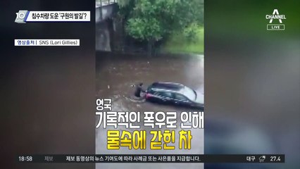 침수차량 도운 ‘구원의 발길’?…주인 선행 동참한 반려견 화제