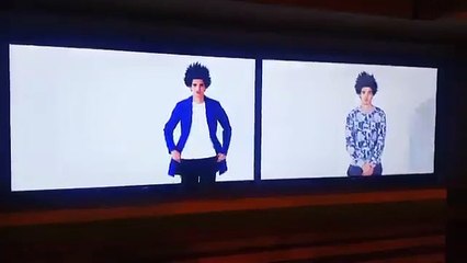 Luís Borges na televisão