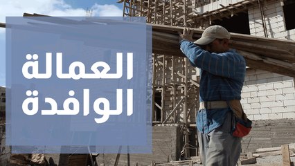 مديرية التفتيش في وزارة العمل ... الدور وآلية التنفيذ خلال الجائحة