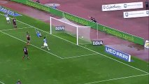 Gonzalo Castro Goal