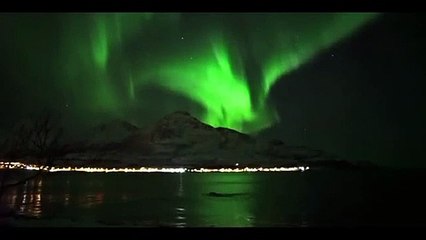 Baleias nadam sob luz de aurora boreal