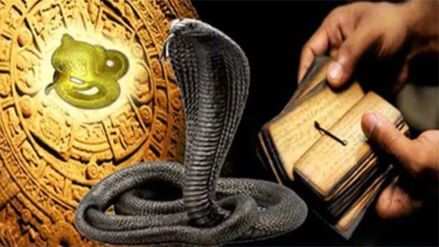 Nag Panchami 2021: नाग पंचमी 2021 में 108 साल बाद दुर्लभ संयोग, कालसर्प दोष से मुक्ति | Boldsky