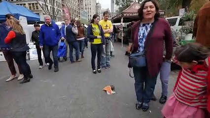 Um rato e uma fatia de pizza bastam para pregar um susto