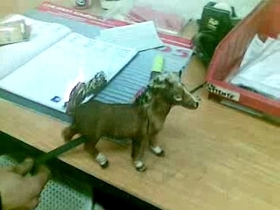 Cheval barbie prend feu (jouet)