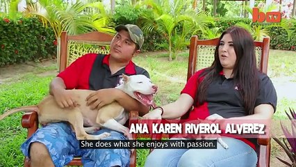 Pitbull desafia a gravidade ao subir parede de quatro metros