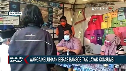 Download Video: Terjadi Lagi, Kini Giliran Warga Kalideres Dapat Beras Bansos Tak Layak Konsumsi