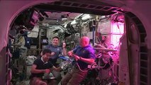 Astronautas comem alface pela primeira vez no espaço. Veja a reação