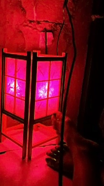new lampshade
