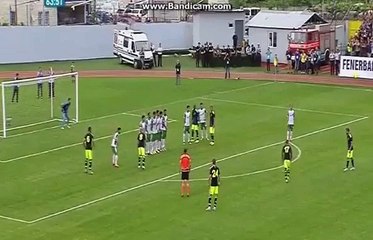 Nani já marca pelo Fenerbahçe