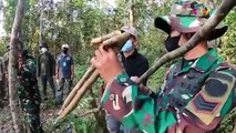 Momen Prajurit TNI Ajarin US Army Bikin Jebakan Hutan