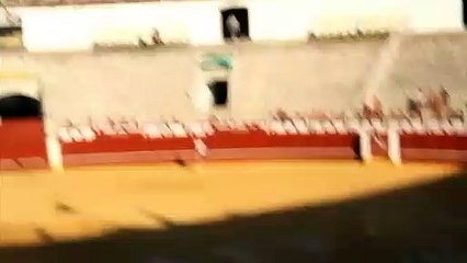 Mulher salta para dentro de arena para abraçar touro em agonia