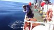 pescadores russos encontram lula gigante