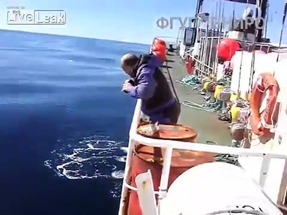 pescadores russos encontram lula gigante