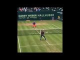 Roger Federer Tweener