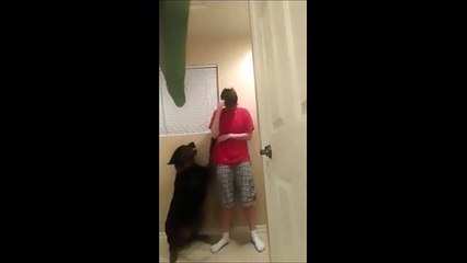 Cão ajuda dona autista a superar crises depressivas