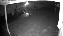 Câmera flagra homem furtando fios em empresa no Bairro Coqueiral