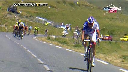 Vacas atravessam-se na etapa da Volta a França