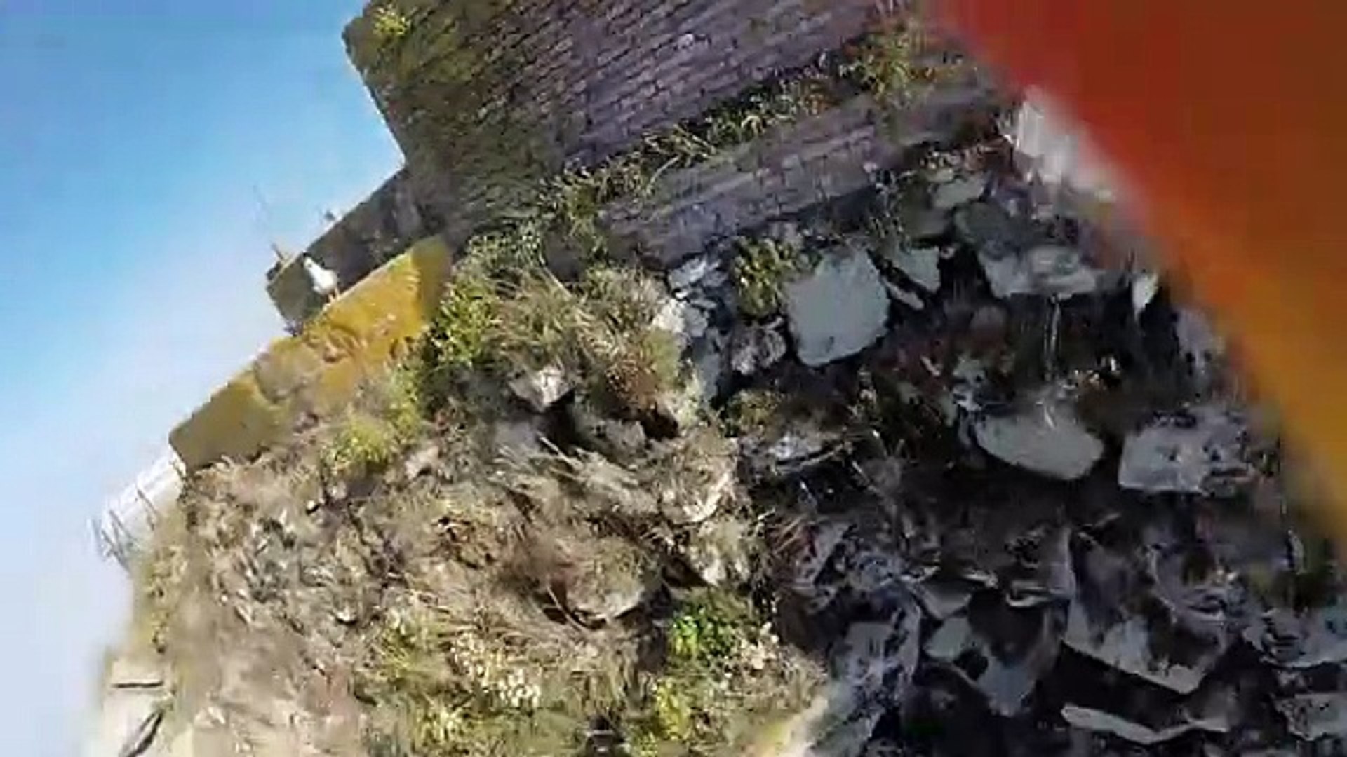 Gaivota rouba GoPro e filma imagens incríveis