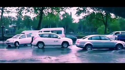 Pelo menos oito mortos e dezenas de feras à solta na Geórgia