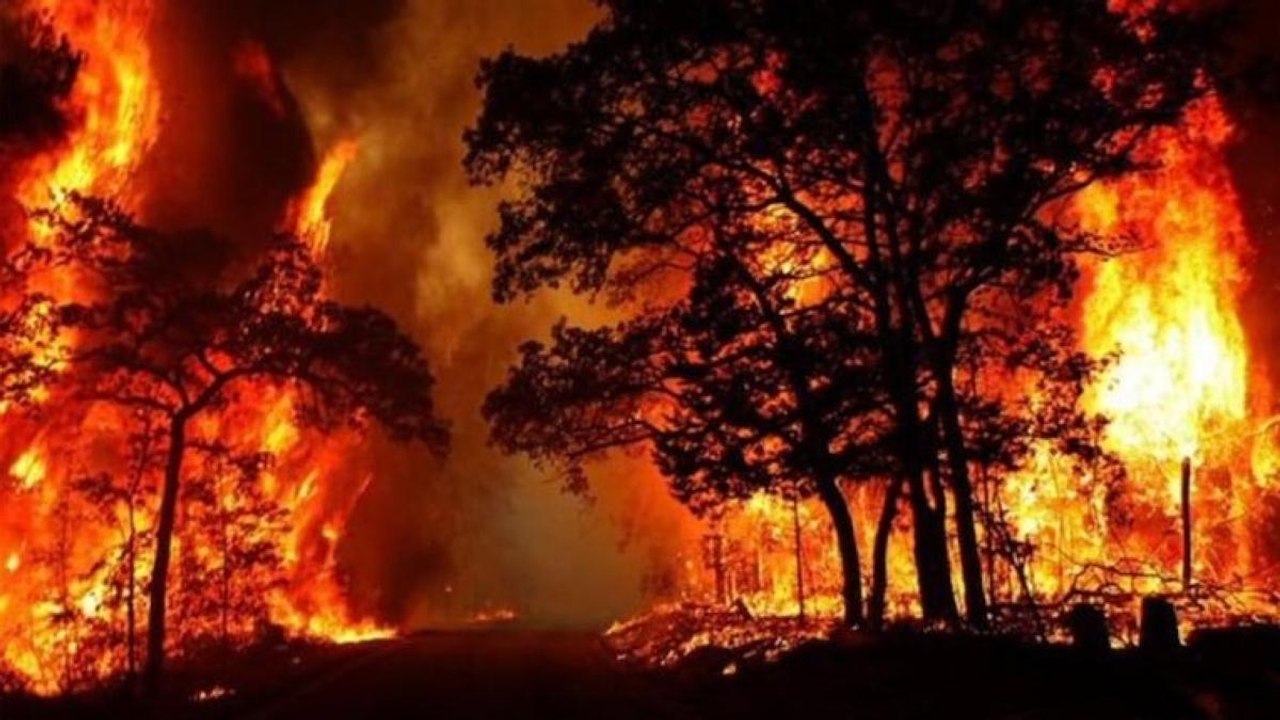 UN panel IPCC report warns over increasing temperature