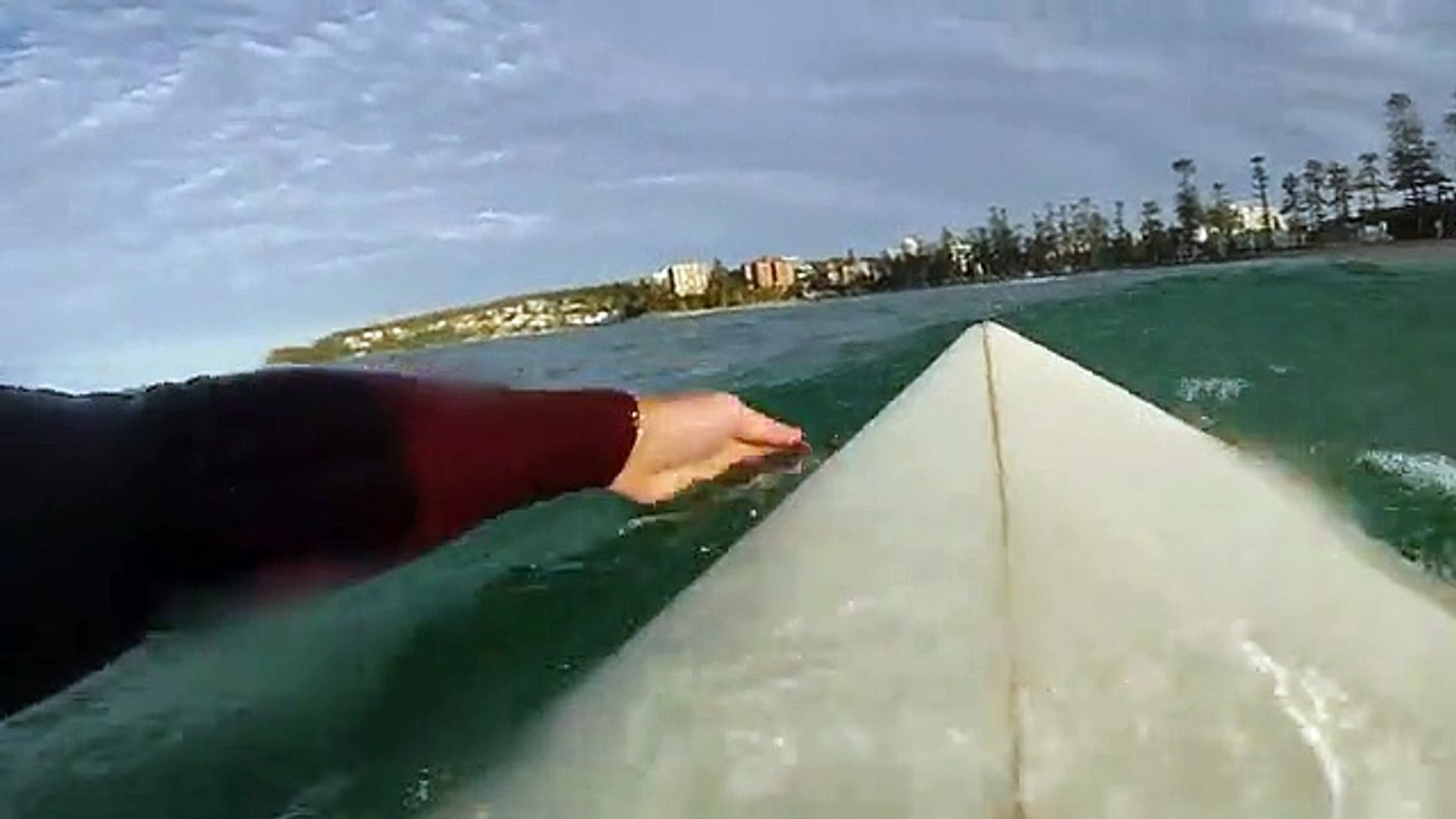Surfista filma tubarão branco debaixo da sua prancha