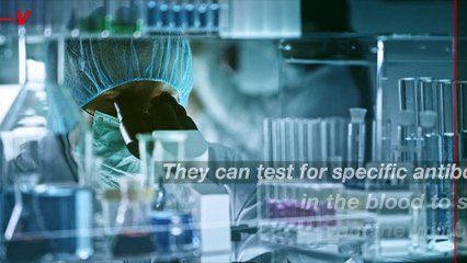 Testing for Antibody Levels Could Speed up Vaccine and Booster Approval Process