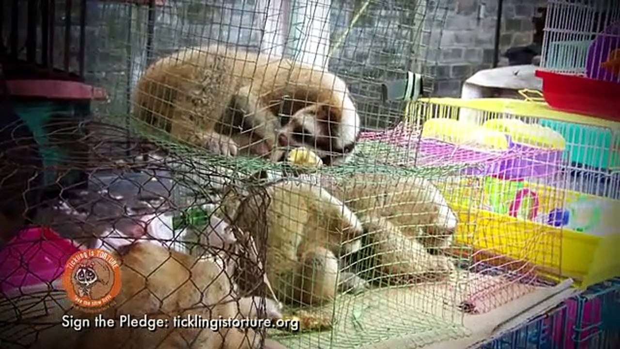 Tickling is Torture