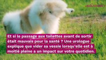 Le “petit pipi avant de partir” est bien plus dangereux que vous ne le pensez