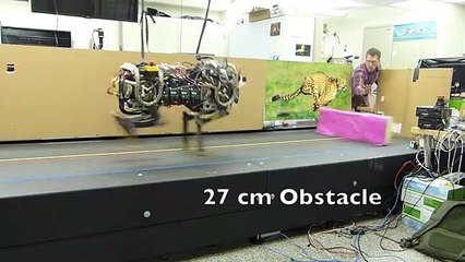 Robot impressiona a saltar obstáculos