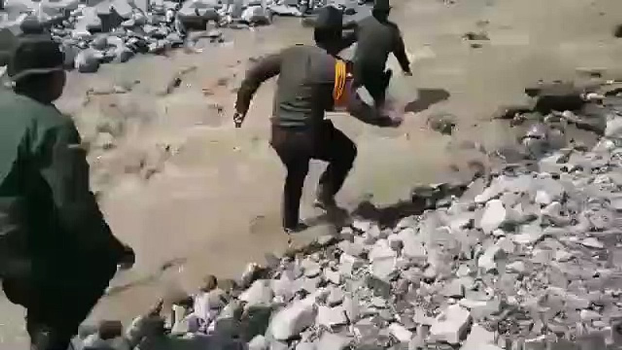 Polícia salva cão