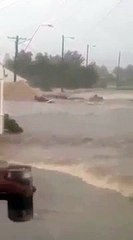 Tempestade faz casa flutuar na água da chuva