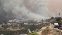 At least 42 killed in Algerian wildfires