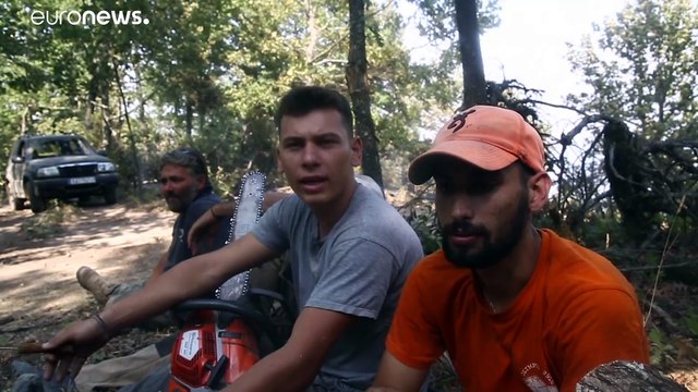 Bombeiros de mais de vinte países combatem as chamas na Grécia