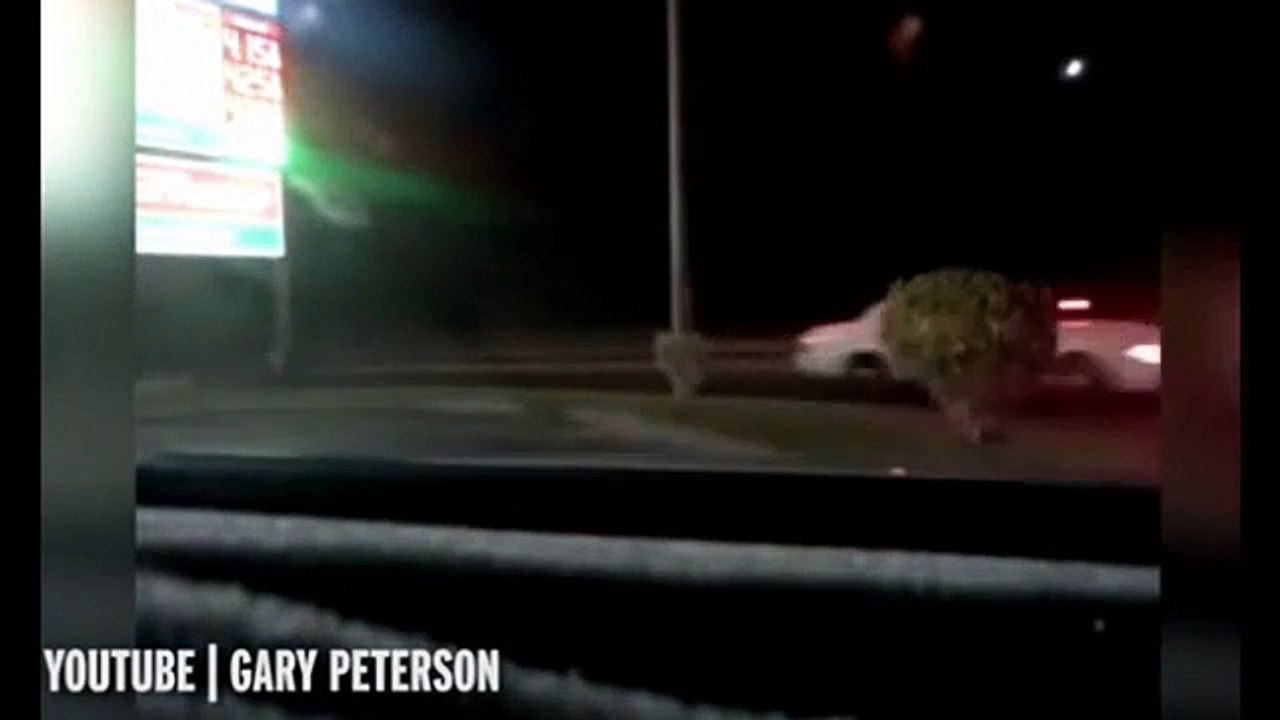 UFO - Area 51