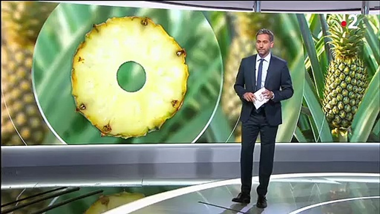 Thaïlande : visite dans les champs du pays de l'ananas