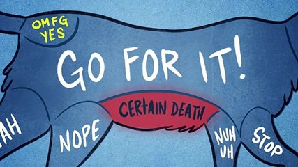 Saiba os locais proibidos do corpo do seu animal