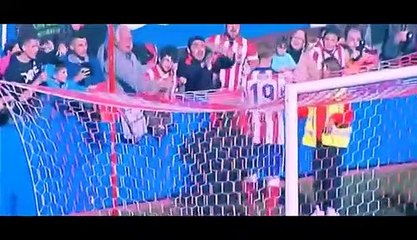 Regresso fernando torres