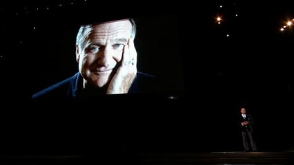 robin williams, emmy