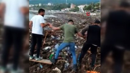 Kıyıda mahsur kalan köpeği kurtarabilmek için insan zinciri oluşturdular