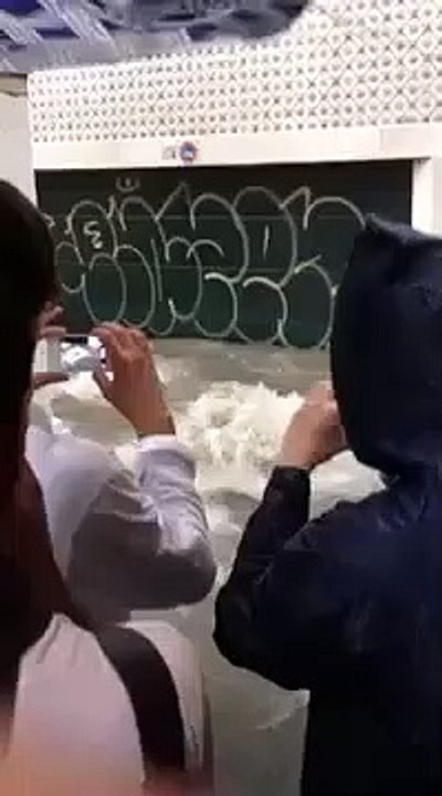 mau tempo