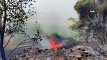 Burdur'un Bucak ilçesinde orman yangını başladı