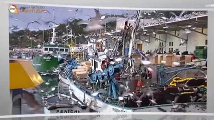 Passos Coelho já está a fazer campanha eleitoral