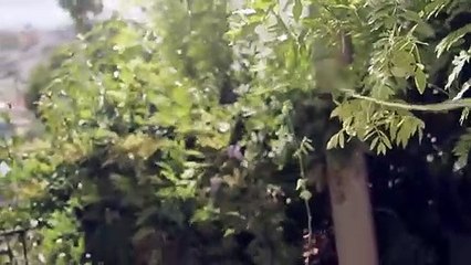 Leonor Poeiras lança blogue